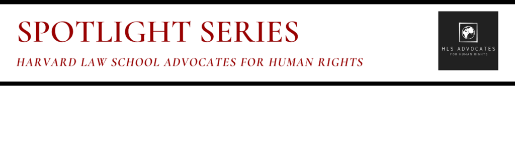 Spotlight Series logo, Advocates for Human Rights
