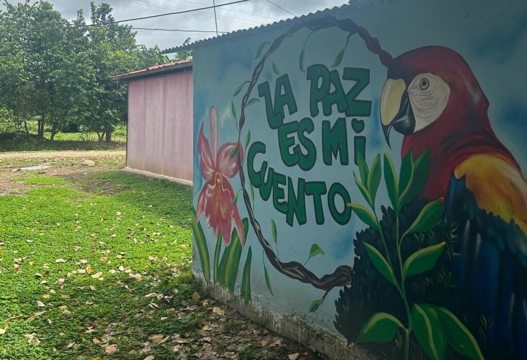 A small hut with a corrugated iron roof and a mural of a parrot with the slogan "La paz es mi cuento."