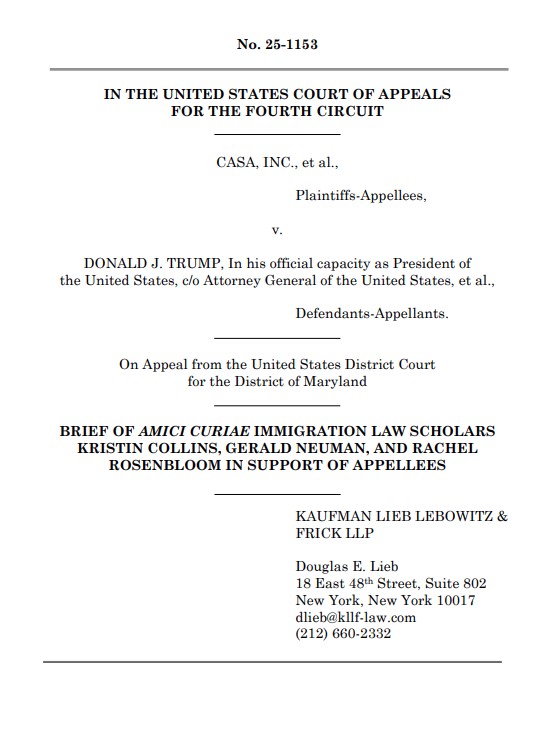 image of cover page of amics brief