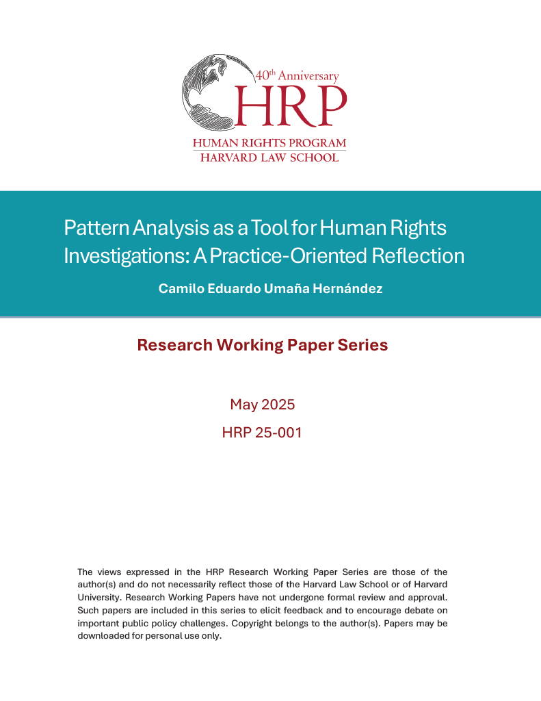 Cover Page for Working Paper Titled "Pattern Analysis as a Tool for Human Rights Investigations: A Practice-Oriented Reflection