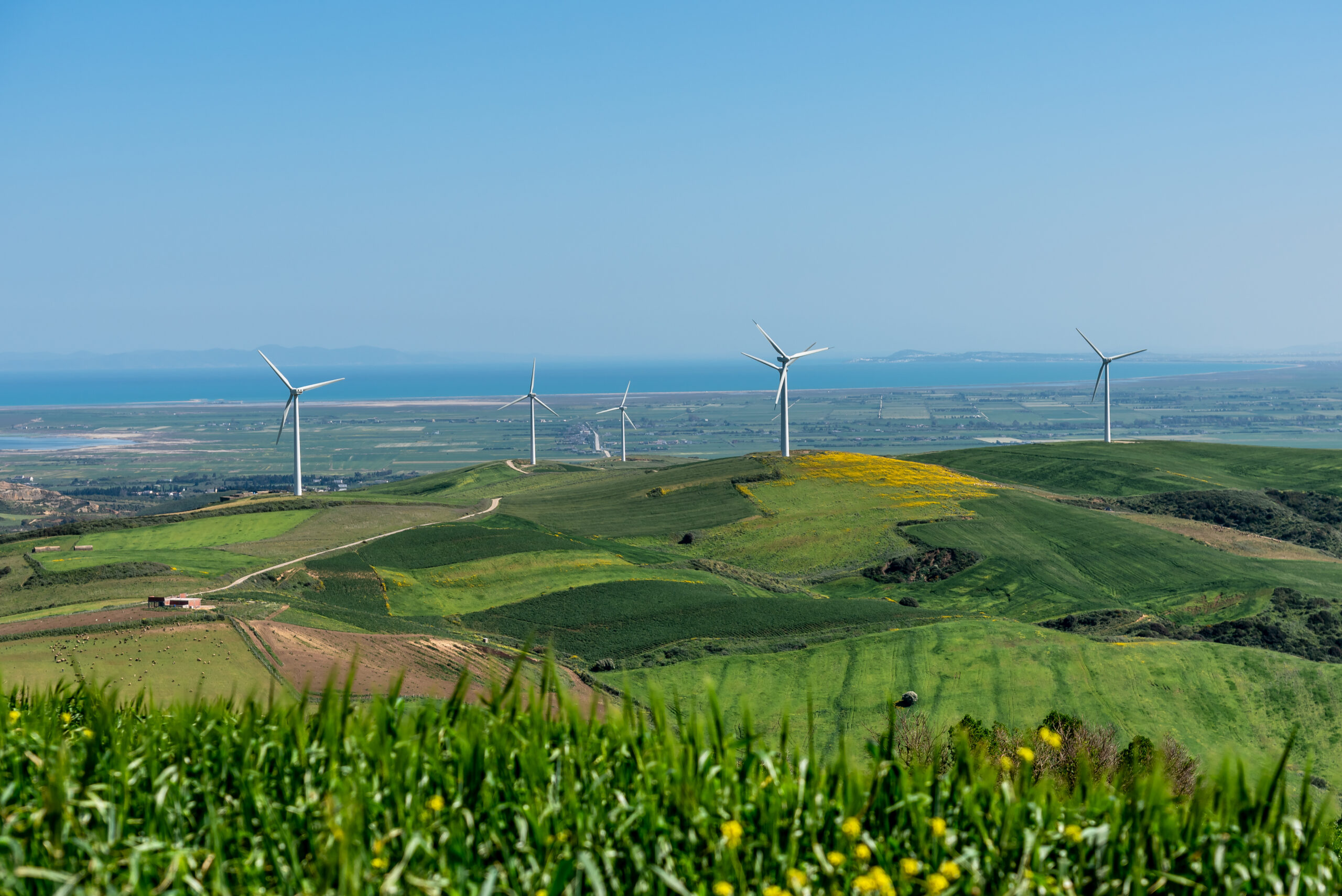 Wind turbines on a landscape